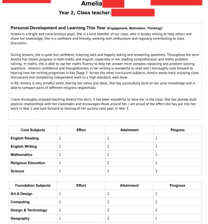 Amelias Report